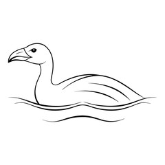 andean-condor-swimming