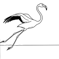 andean-flamingo-jumping