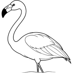 Andean-flamingo-sitting line art