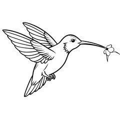 anna-s-hummingbird-eating