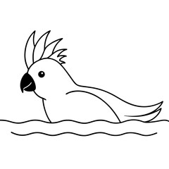 australian-cockatoo-swimming