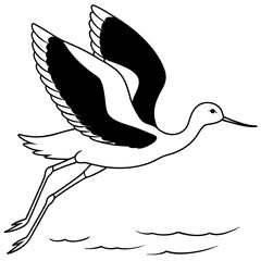 avocet-jumping