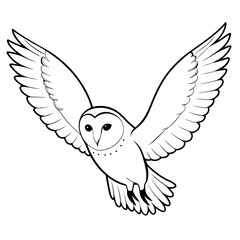 barn-owl-flying