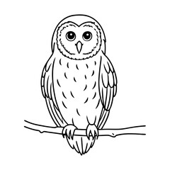 barred-owl-sitting