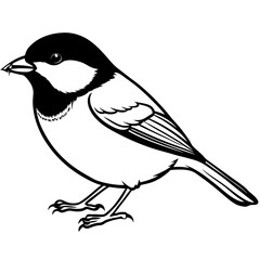 black-capped-chickadee-eating vector illustration of a bird