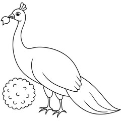 peacock-eating line art