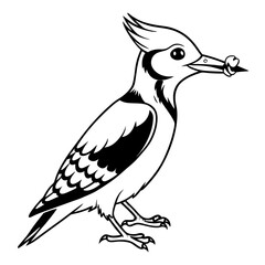 woodpecker-bird-eating line art