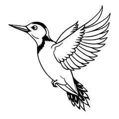 woodpecker-bird-jumping  line art