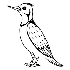 woodpecker-bird-standing
