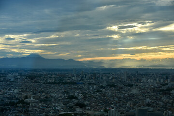 夕暮れ時の都市風景　高層ビルから眺める東京の街