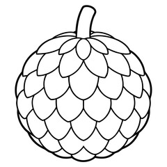 vector illustration of cherimoya fruit