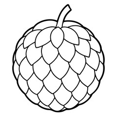 vector illustration of cherimoya- fruit