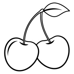 vector illustration of cherries--prunus fruit