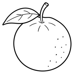 vector illustration of a clementine fruit
