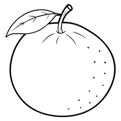 vector illustration of a clementine--algerian-fruit  line art
