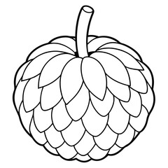 vector illustration of a custard-apple fruit  line art