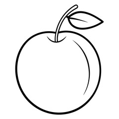 vector illustration of a damson-fruit  line art