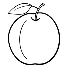vector illustration of a davidson-s-plum fruit  line art