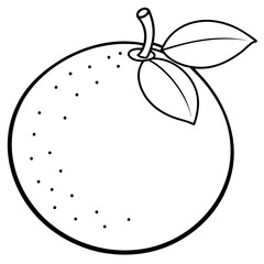 vector illustration of a desert lime fruit line art.