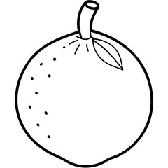 vector illustration of a dekopon fruit  line art