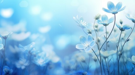 Fototapeta premium foreground blue spring background