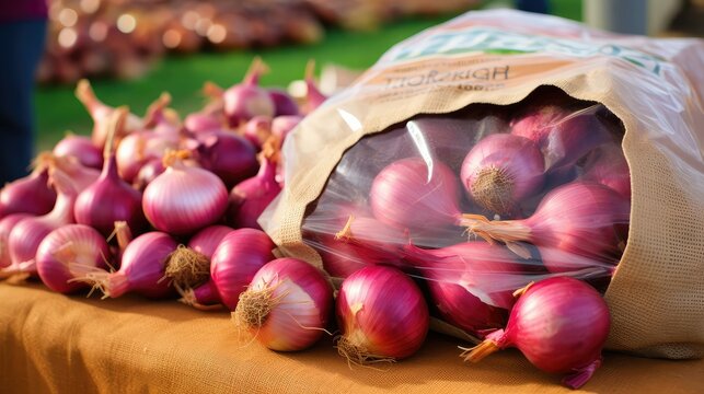 market red onions bag