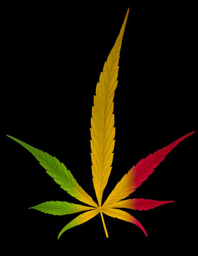Feuille de cannabis aux couleurs rasta, fond noir 