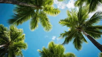 Naklejka premium paradise palm trees