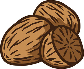 handdrawn wutmeg illustration