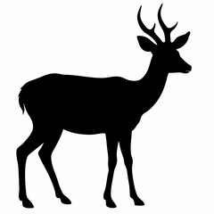 Fototapeta premium antelope-silhouette-vector-white-background