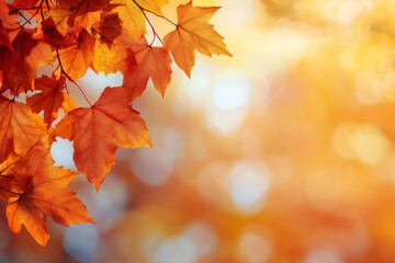 Fototapeta premium Fallen Leaves Season Background created with Generative AI