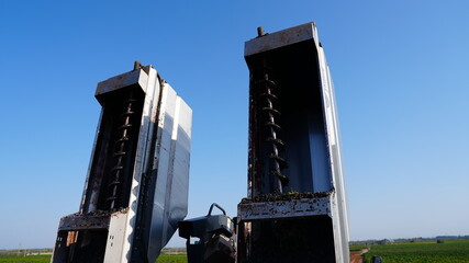 GRAPE HARVESTER, UNLOADING THE HARVESTED BLACK GRAPES INTO THE TRACTOR 3