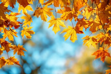 Obraz premium Fallen Leaves Season Background created with Generative AI