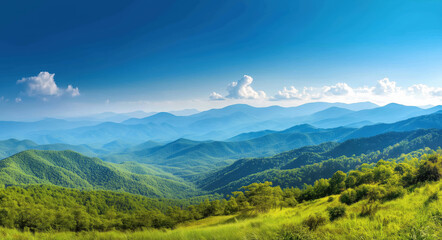 The view showcases a breathtaking panorama of mountains layered in shades of blue and green, surrounded by vibrant foliage under a bright, sunny sky.