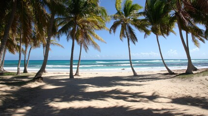 Serene Beach View with Palm Trees and Ocean Waves