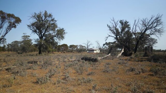 A wide landscape shot of a historical hut in the Australian outback