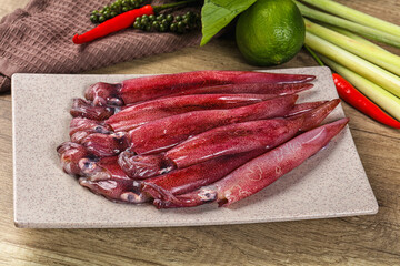 Raw fresh squids for cooking