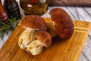 Raw natural wild porchini mushrooms