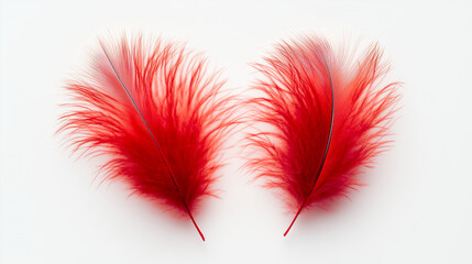  Two fluffy red feathers are placed on a white background. Their rich color and delicate texture create a vibrant contrast with the clean background, highlighting lightness and airiness
