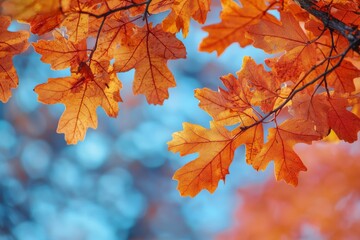 Obraz premium Fallen Leaves Season Background created with Generative AI