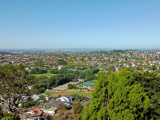 A residential street in Auckland, New Zealand in summer