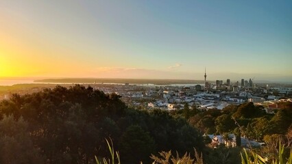 A residential street in Auckland, New Zealand in summer