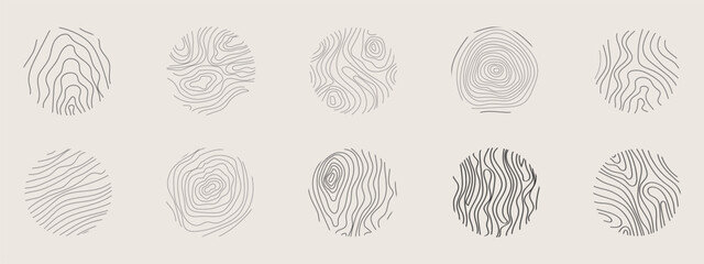 Golden thin line tree ring collection. Elegant gold wooden section texture circle. Topography map geographic grid contour. Wood stump timber.