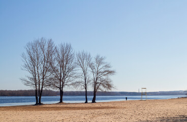 A sandy beach along a large body of water, with a clear blue sky and some trees in the background