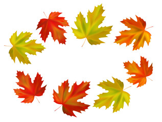 Fototapeta premium Frame of realistic maple autumn leaves. Orange, yellow, red maple fall leaves swirl in the wind. Vector illustration