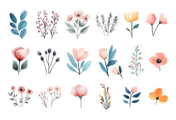 Watercolor set of wildflowers. Hand drawn botanical illustration in watercolor style on transparent background. Watercolor botany, minimalist plants. Vector illustration.