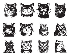 Set of American Shorthair Cat face Vector illustration - American Shorthair Cat Logo  Design
