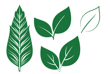 Green leaves collection. Green leaf icons.