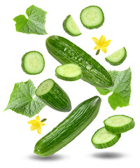 flying cucumber isolated on white background. clipping path