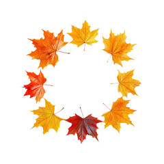 Autumn Leaves Circle Frame